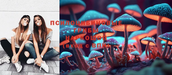 прущие грибы Алексеевка
