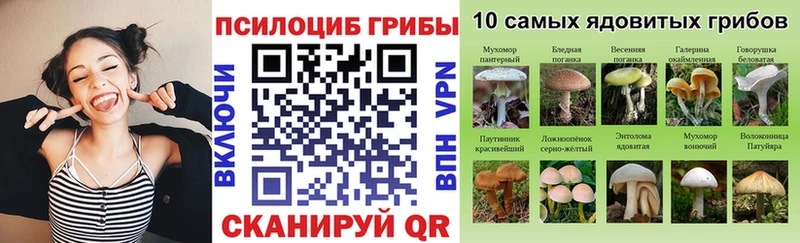 дарнет шоп Бабушкин Галлюциногенные грибы Magic Shrooms